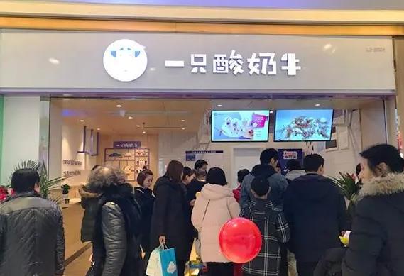 一(yi)隻酸奶牛項(xiang)目(mu)介紹