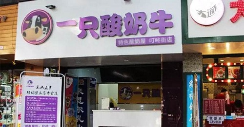 一(yi)隻酸奶牛加(jia)盟優(you)勢(shi)
